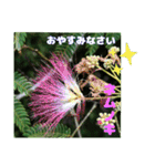 夏の盛りのお花で、日々のご挨拶を（個別スタンプ：39）