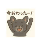 黒フレンチブルドッグ～日常スタンプ～（個別スタンプ：12）