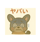 黒フレンチブルドッグ～日常スタンプ～（個別スタンプ：32）