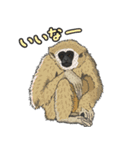 あつまれ！世界の猿たち1（個別スタンプ：2）