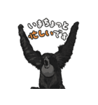 あつまれ！世界の猿たち1（個別スタンプ：3）