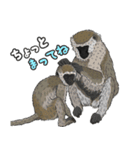 あつまれ！世界の猿たち1（個別スタンプ：7）