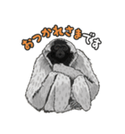 あつまれ！世界の猿たち1（個別スタンプ：8）