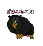 あつまれ！世界の猿たち1（個別スタンプ：14）