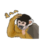 あつまれ！世界の猿たち1（個別スタンプ：15）