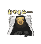 あつまれ！世界の猿たち1（個別スタンプ：23）