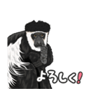 あつまれ！世界の猿たち1（個別スタンプ：24）