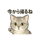 むぎてぃのすたんぷ（個別スタンプ：1）