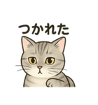むぎてぃのすたんぷ（個別スタンプ：7）