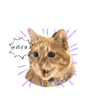 アズ＆ニコ4（個別スタンプ：3）