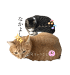 アズ＆ニコ4（個別スタンプ：4）