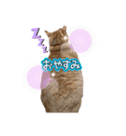 アズ＆ニコ4（個別スタンプ：12）