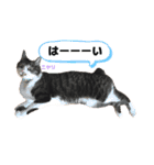 アズ＆ニコ4（個別スタンプ：14）
