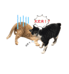 アズ＆ニコ4（個別スタンプ：16）