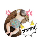 蒼空ちゃんスタンプ ①（個別スタンプ：15）