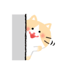 ほぼ文字無し日々の暮らし 猫（個別スタンプ：11）