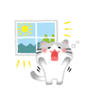 ほぼ文字無し日々の暮らし 猫（個別スタンプ：24）