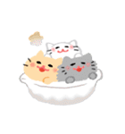 ほぼ文字無し日々の暮らし 猫（個別スタンプ：36）