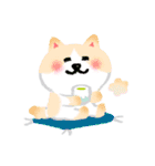 おめでとうセット セリフ着せかえ（個別スタンプ：24）
