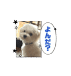 堀口家のサンジくん（個別スタンプ：2）