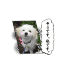 堀口家のサンジくん（個別スタンプ：7）