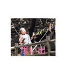 イボニーのニュッとも旅（個別スタンプ：15）