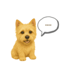 ケアンテリア｜わんこ吹き出し変えられる♪（個別スタンプ：2）