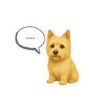ケアンテリア｜わんこ吹き出し変えられる♪（個別スタンプ：6）