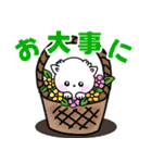 よく使う日常会話 可愛い犬（個別スタンプ：21）