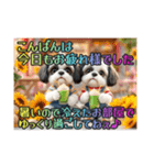 続・ぼくはシーズーです【夏の言葉多め】（個別スタンプ：6）