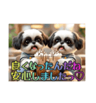 続・ぼくはシーズーです【夏の言葉多め】（個別スタンプ：18）