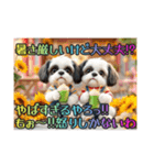 続・ぼくはシーズーです【夏の言葉多め】（個別スタンプ：23）