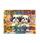 続・ぼくはシーズーです【夏の言葉多め】（個別スタンプ：24）