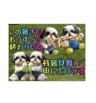 続・ぼくはシーズーです【夏の言葉多め】（個別スタンプ：29）