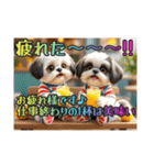 続・ぼくはシーズーです【夏の言葉多め】（個別スタンプ：33）