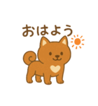美濃柴犬♡日常スタンプ（個別スタンプ：1）