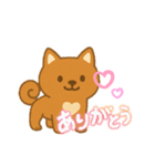 美濃柴犬♡日常スタンプ（個別スタンプ：4）
