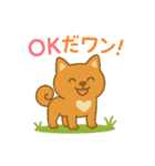 美濃柴犬♡日常スタンプ（個別スタンプ：5）
