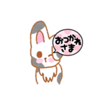 うさぎちゃんの色んな種類のスタンプ（個別スタンプ：10）