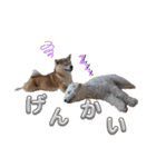 ニコ＆Yume（個別スタンプ：1）