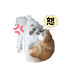 ニコ＆Yume（個別スタンプ：2）