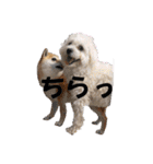 ニコ＆Yume（個別スタンプ：7）