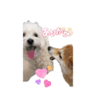 ニコ＆Yume（個別スタンプ：9）