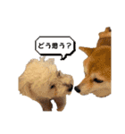 ニコ＆Yume（個別スタンプ：12）