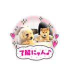 ニコ＆Yume（個別スタンプ：16）