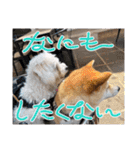 ニコ＆Yume（個別スタンプ：17）