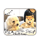 ニコ＆Yume（個別スタンプ：22）