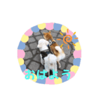 ニコ＆Yume（個別スタンプ：24）