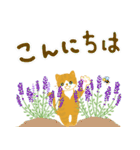 夏の挨拶、猫と花いっぱい（個別スタンプ：1）