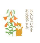 夏の挨拶、猫と花いっぱい（個別スタンプ：10）